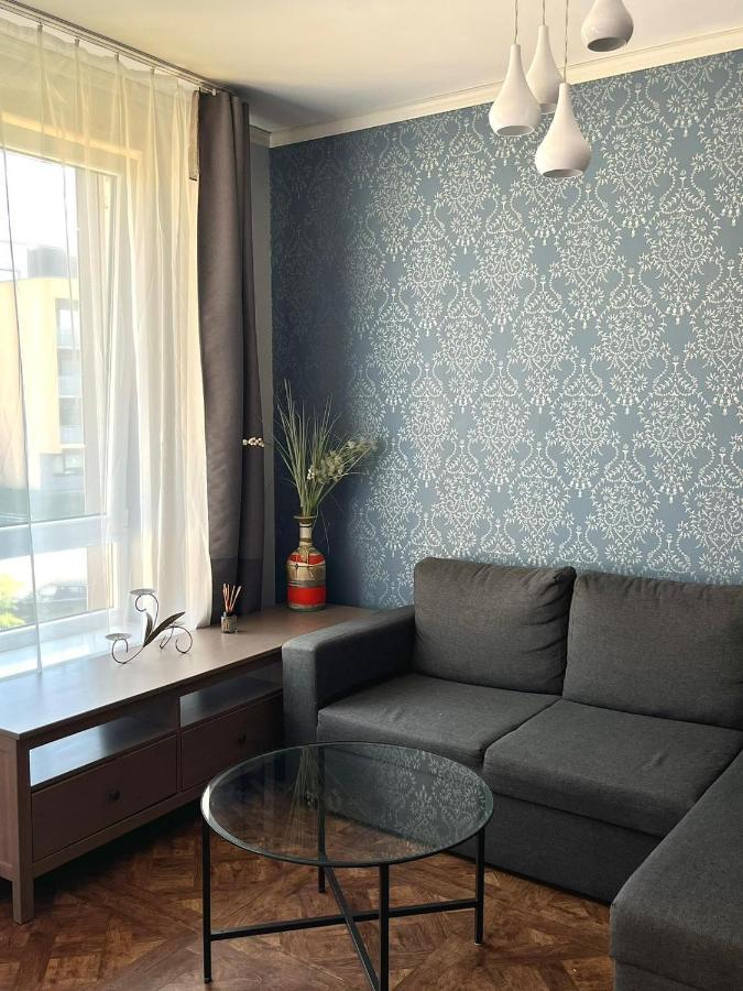 Exclusive Apartment In Vilnius Near Ozas And Technopolis Bagian luar foto